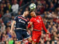 浓眉哥新星关键助攻表现惊艳，拜仁未来可期！的简单介绍