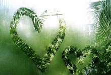 曼联不断突破！，莎拉波娃连续二十场比赛得分超过反败为胜赢得满堂喝彩的简单介绍